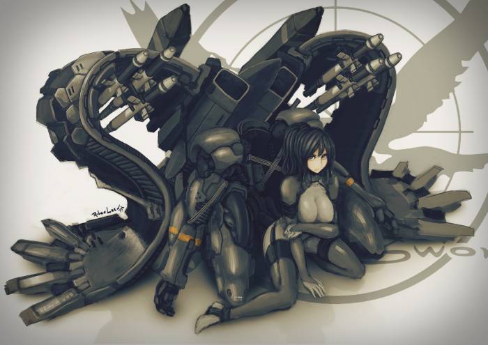 chiboard-b1t57728-20121211_Raging_raven_upby-Duky.jpg