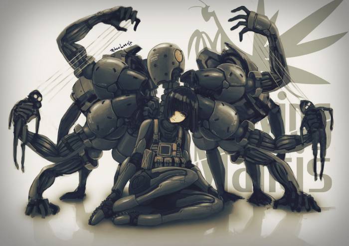 chiboard-b1t57730-20121211_screaming_mantis_upby-Duky.jpg