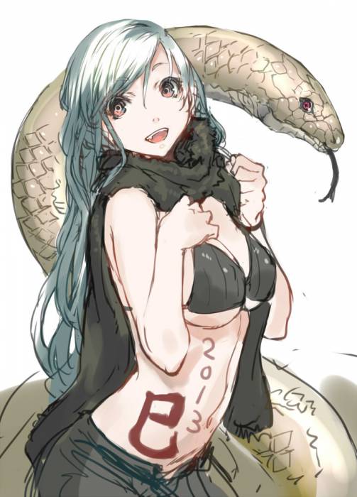 chiboard-b1t57791-20130102_snake_upby-Duky.jpg