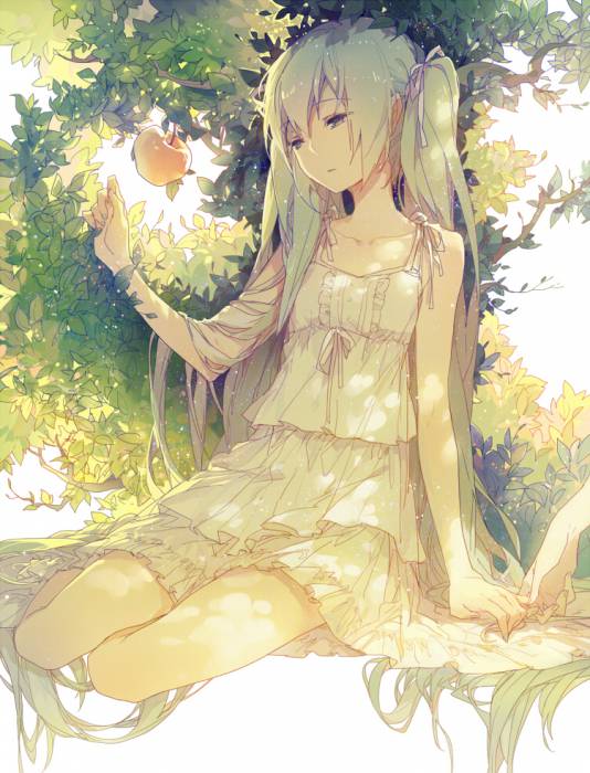 chiboard-b1t57818-20130111_Hatsune_Miku_full_1394435_upby-Whiterid.jpg