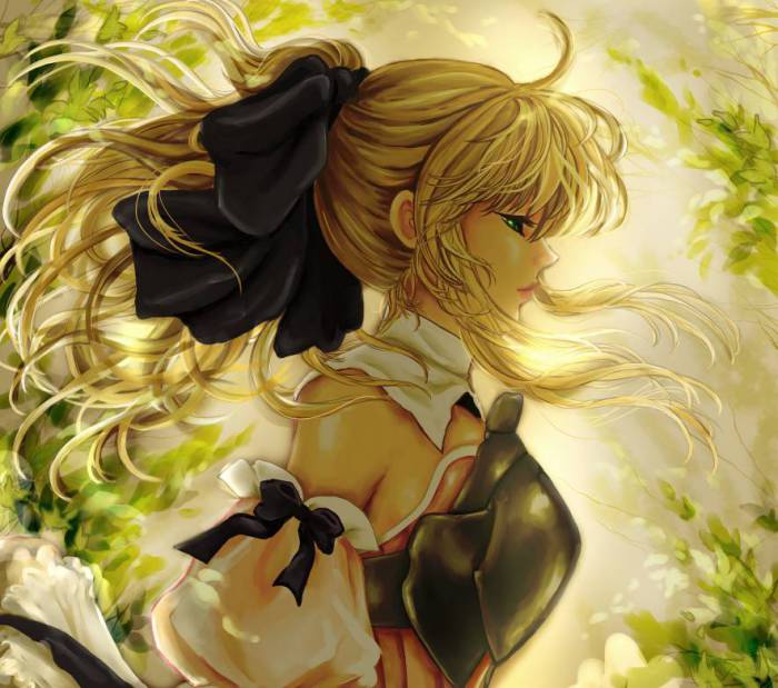 chiboard-b1t57850-20130113_Saber.Lily_by_Manbosakuranbo_upby-Katina.jpg