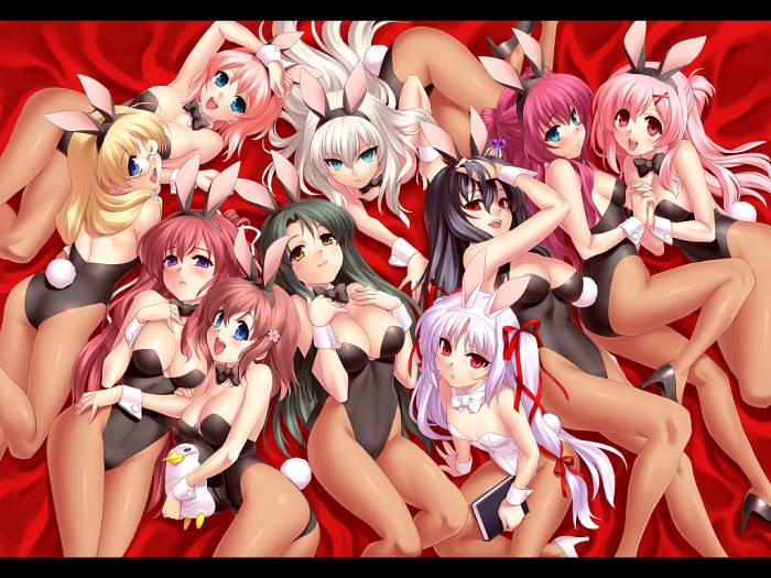 chiboard-b1t58143-20130321_0azuma_shione20bunny_girl20cleavage20kouno_mio20kuroshiba_kanae20megane20minase_yuka20momono_shiori20natsuki_kaori20pantyhose20wallpaper20zen_upby-crazyrokeur.jpg