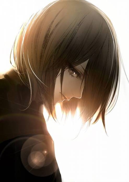 chiboard-b1t58321-20130510_Mikasa_Ackerman__Shingeki_no_Kyojin__By_Kiyohara_Hiro_upby-Katina.jpg