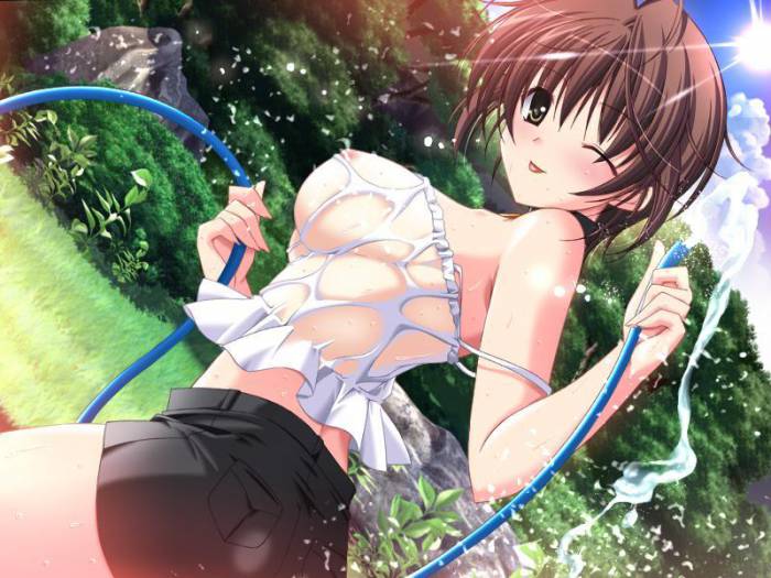 chiboard-b1t58444-20130522_NVHentai_Wardrobe_Malfunction_Hentai_0143_upby-crazyrokeur.jpg