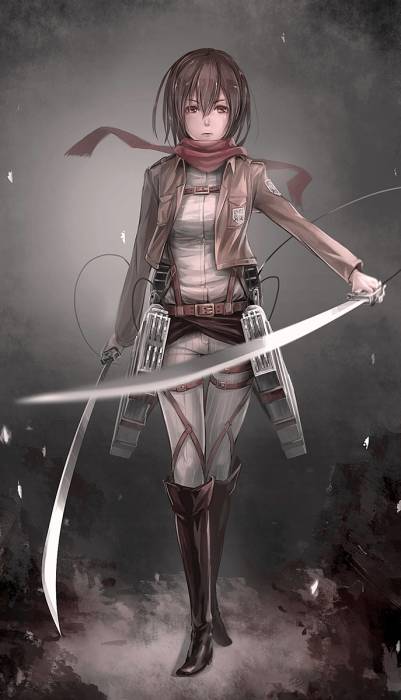 chiboard-b1t58542-20130621_Mikasa_Ackerman_full_1526378_upby-Whiterid.jpg