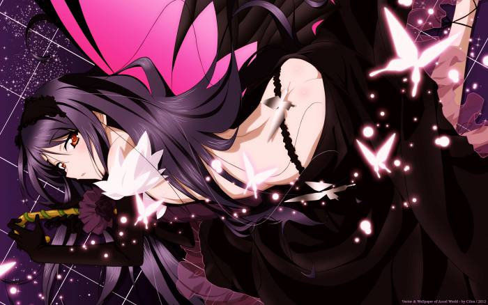 chiboard-b1t58589-20130708_Kuroyuki_Hime__Accel_World__based_on_Hima_mod_by_Cilou_upby-Katina.jpg