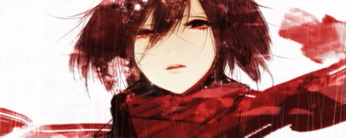 chiboard-b1t58613-20130711_Mikasa_Ackerman_full_1540569_upby-Whiterid.jpg