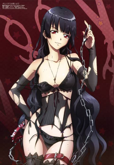 chiboard-b1t58903-20130915_Kirihime_Natsuno__Inu_to_Hasami_wa_Tsukaiyou__from_Megami_Magazine_upby-Katina.jpg