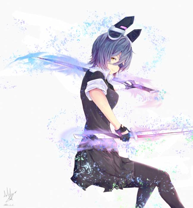 chiboard-b1t59285-20140306_tenryuu_upby-Duky.jpg